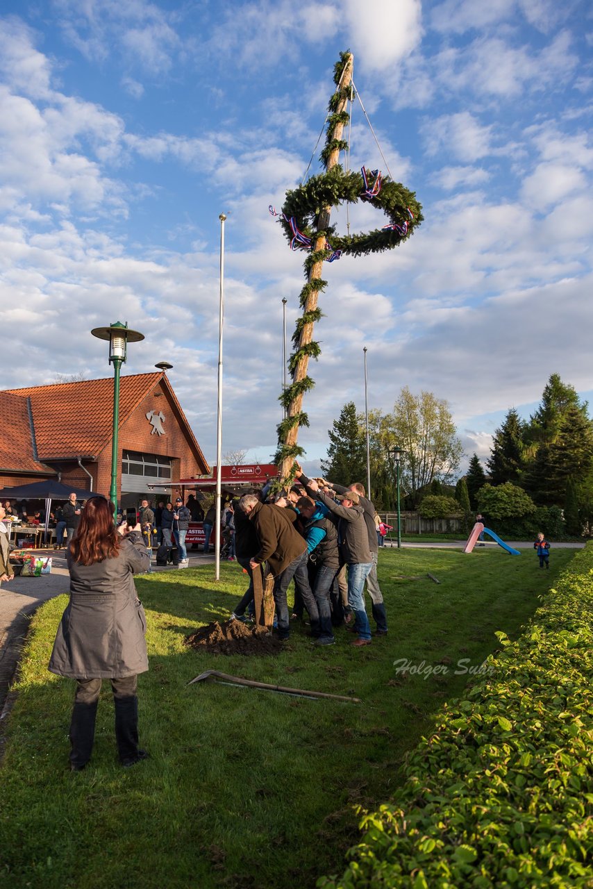 Bild 71 - Maibaum